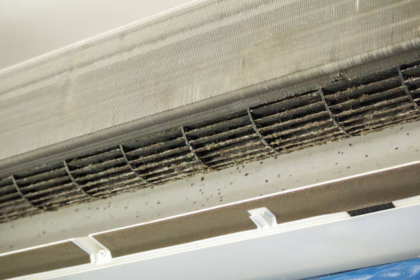 Best Air Duct Cleaning Near Me  in Blplay, AL